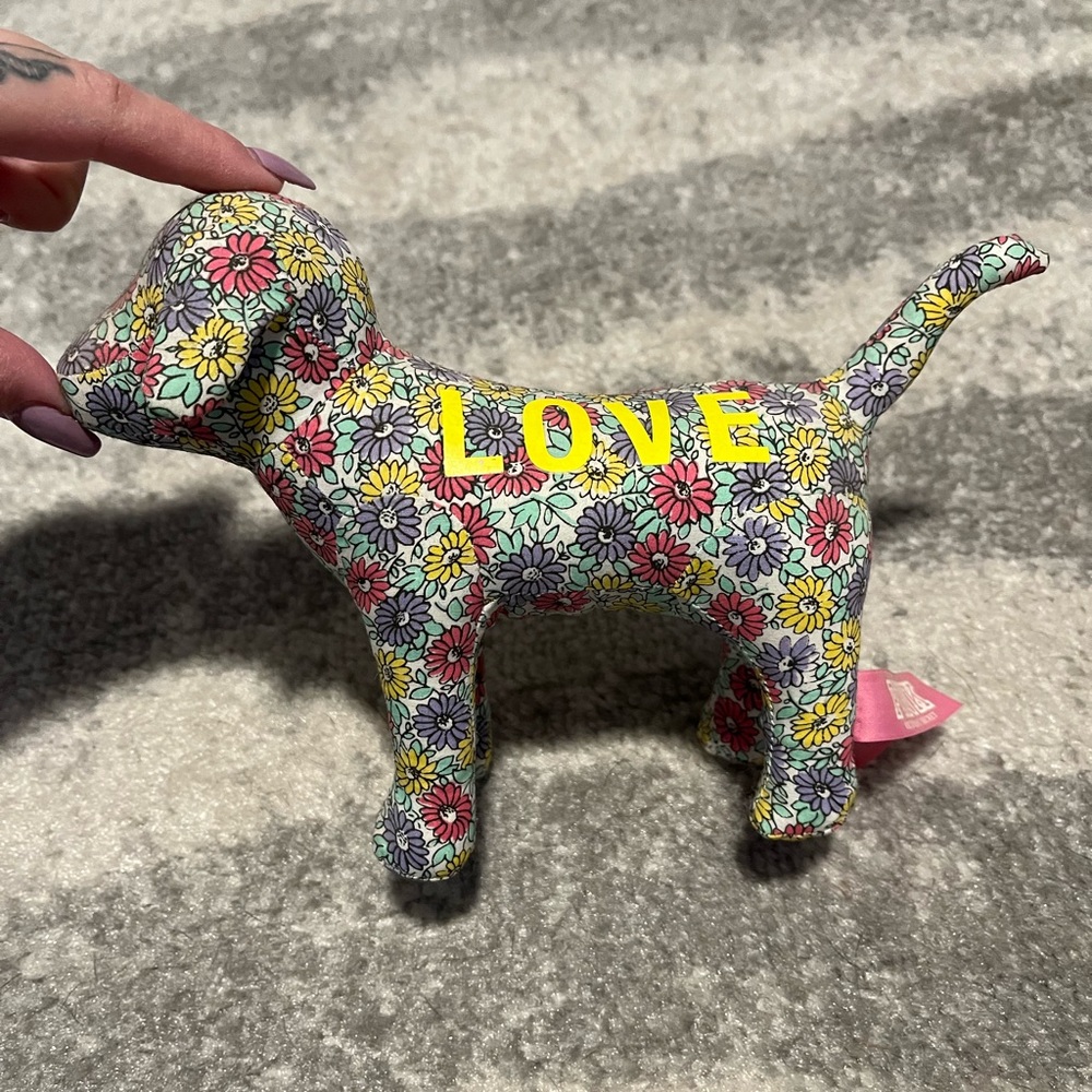 VS PINK Dog